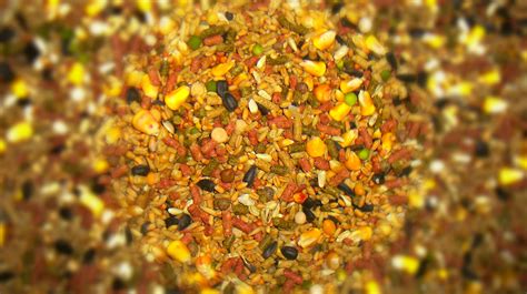 gamefowl feeding tips|Gamefowl Pointing Feed Components and Beneficial .